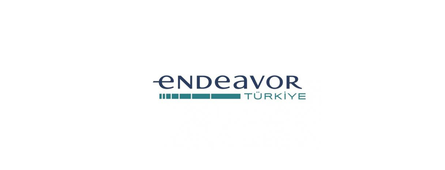 endeavor